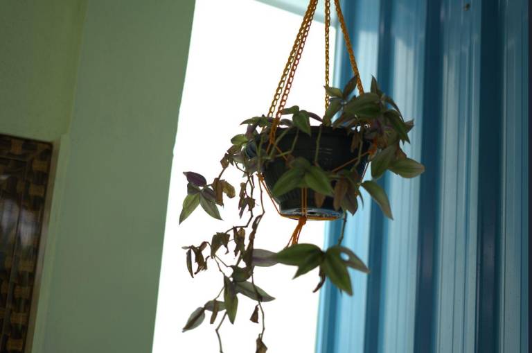 foto6