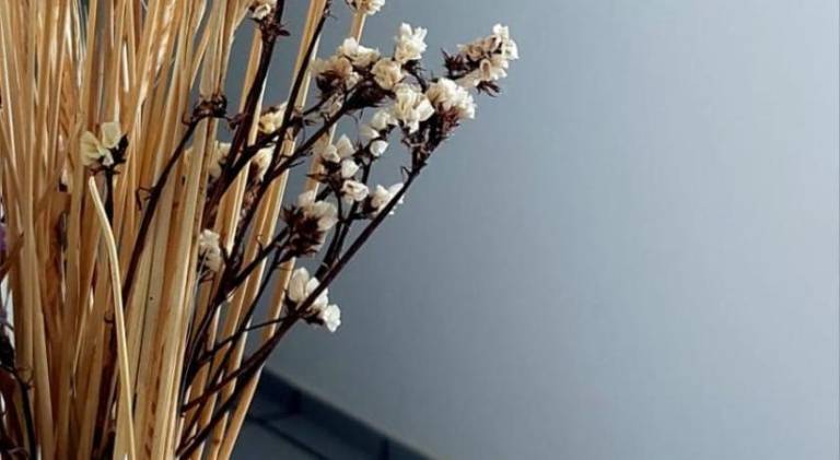 foto24