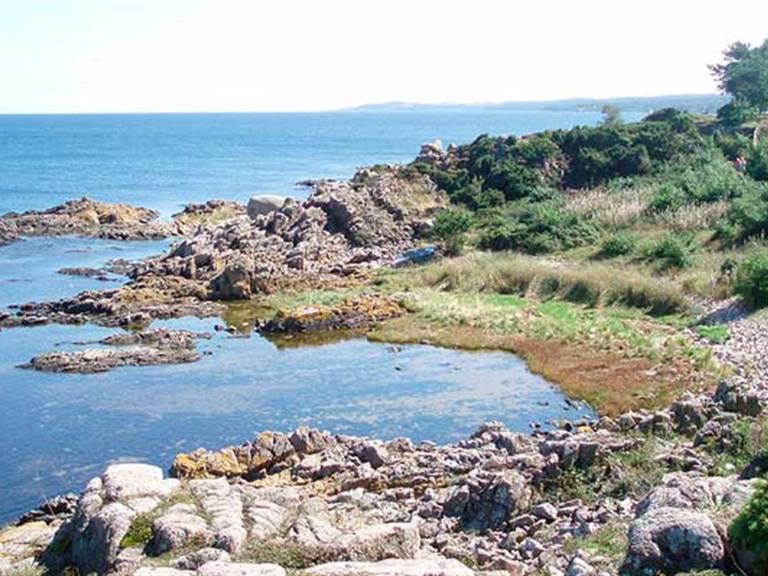 "Folki" - 300m from the sea — photo 4