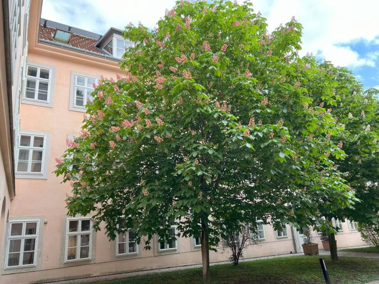 foto26