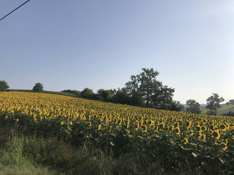 foto48