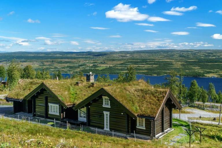 Ferienhaus mit Hund in Guriset, Norwegen fuer max. 12 Personen