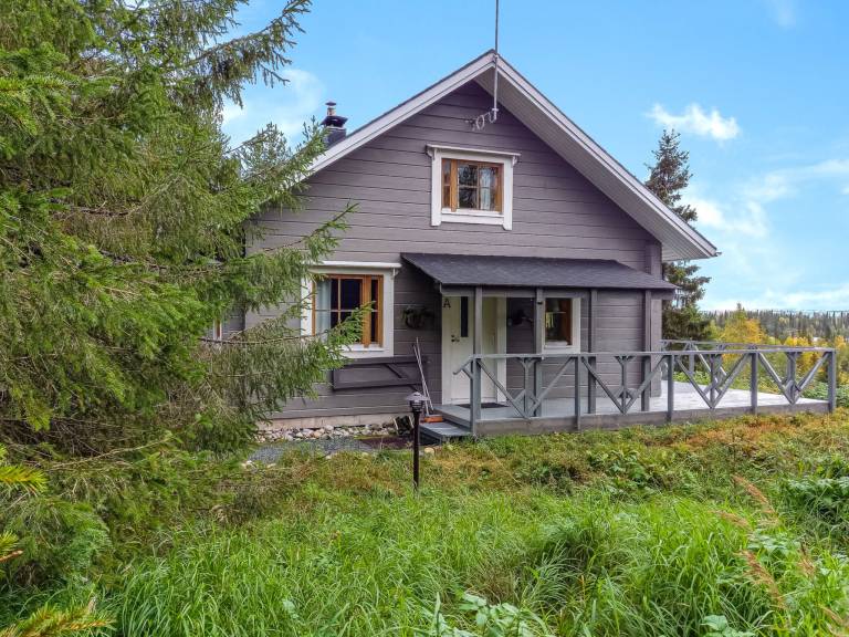 House with sauna & terrace — photo 2