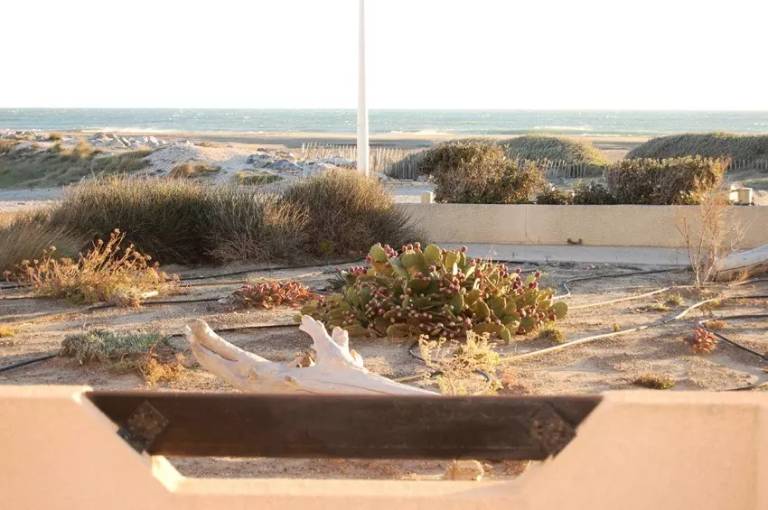 Rental apartment | Next to the beach | Pets are welcome — photo 5