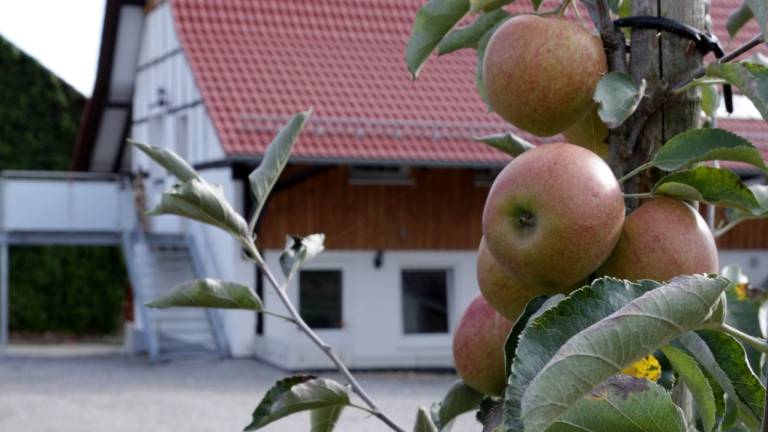 Ferienhaus Friedrichshafen