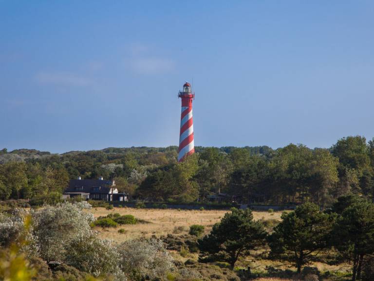 foto21
