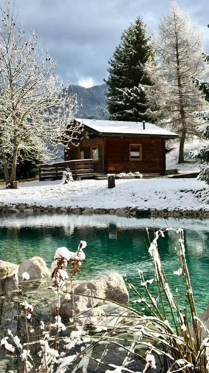 Cabin with BBQ, patio & garden | Mountain view | Dogs allowed — photo 4