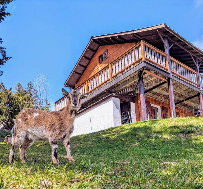 Chalet  Trévignin