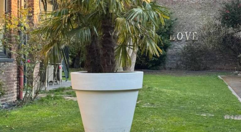 foto20