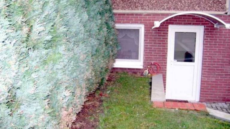 Ferienwohnung in Gademow, Parchtitz f&uuml;r max. 3 Personen