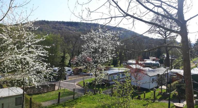 35 m² Chalet