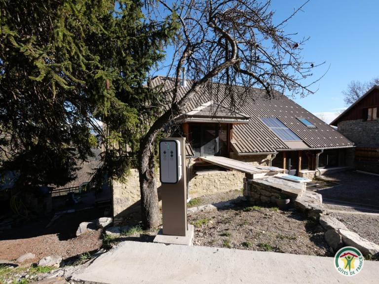 foto41