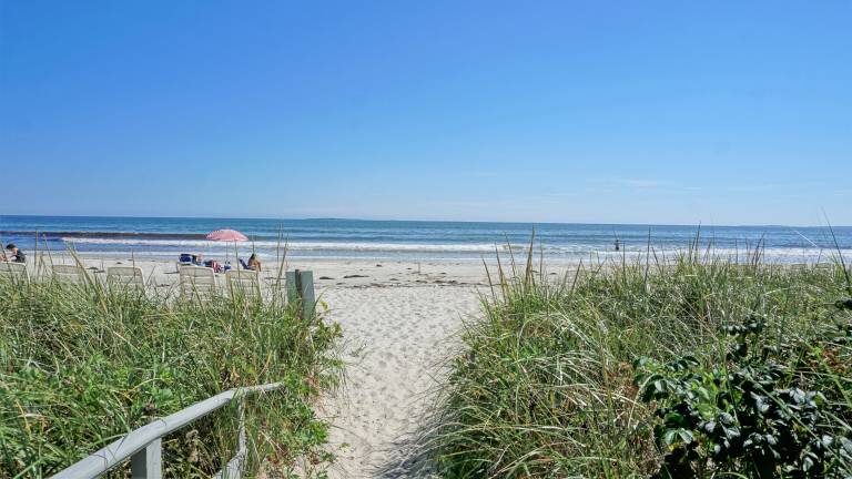 Cottage Pine Point