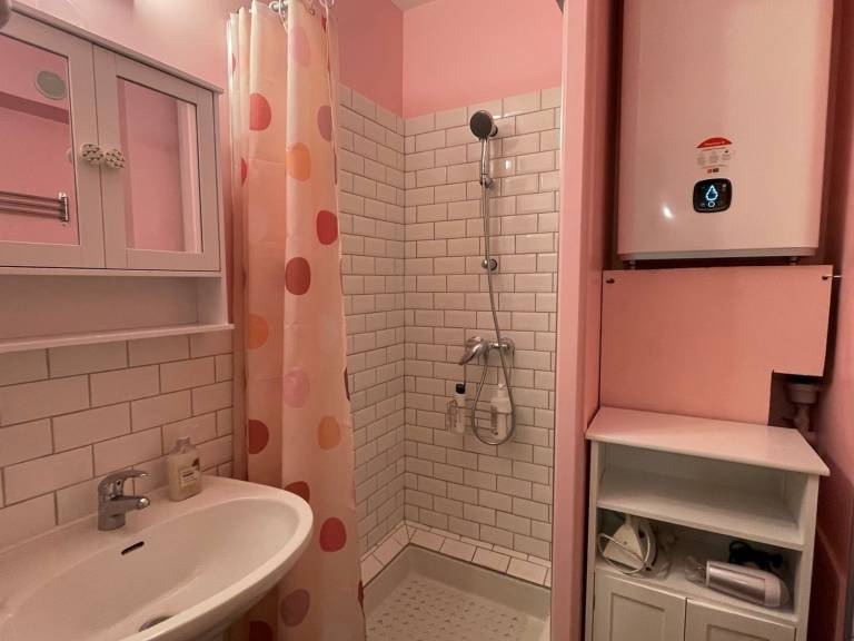 Bright and functional studio in Aix-les-Bains, pets allowed — photo 5