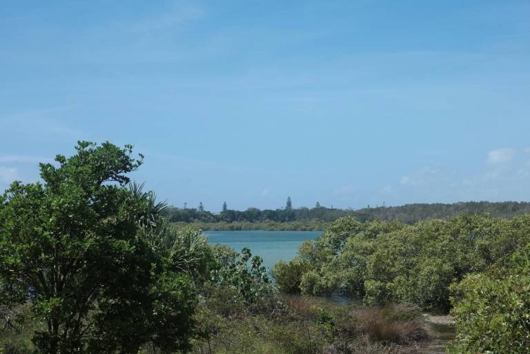 Apartment  Hastings Point