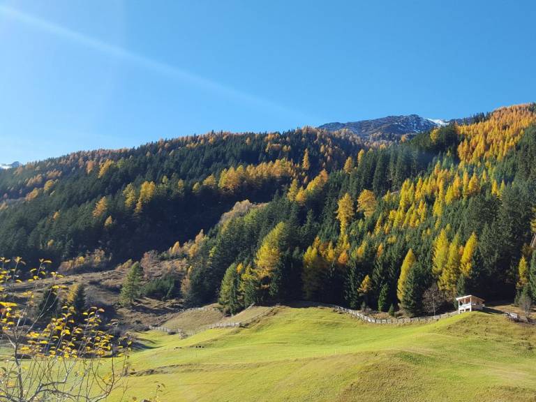 foto21