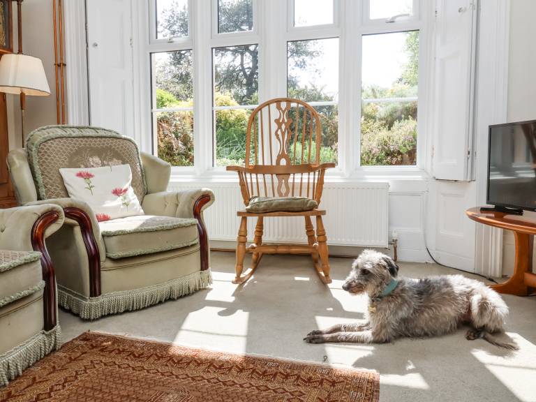 Child-friendly lovely cottage with yard & terrace | Pets are welcome — photo 5