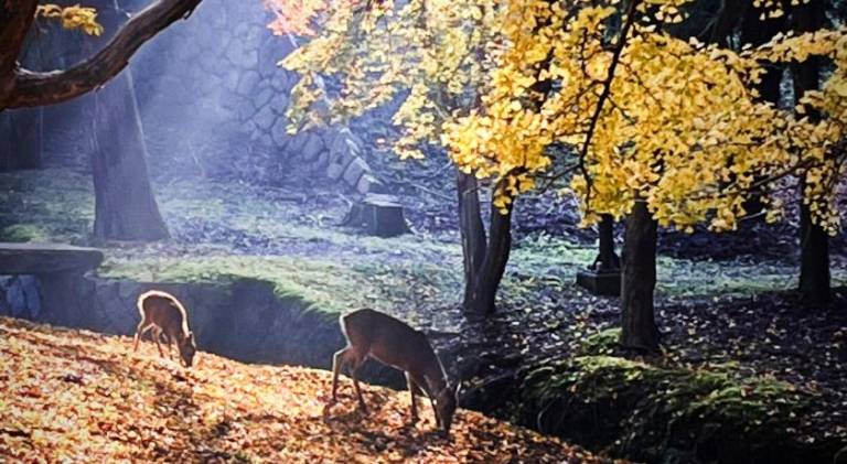 foto15