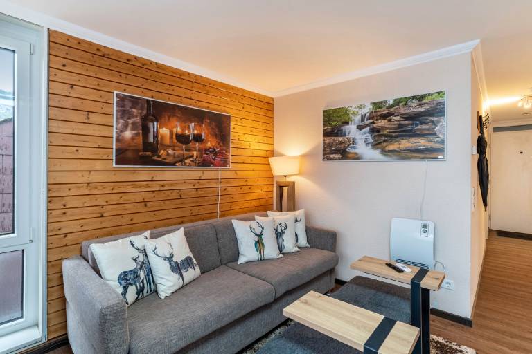Fully equipped wonderful rental apartment with pool, fast internet & sauna | Pet-friendly — photo 5