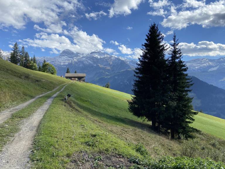 Family-friendly rental apartment | Next to the ski | Pet-friendly — photo 3
