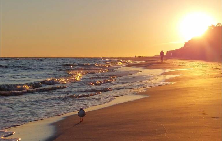 Lägenhet  Sopot