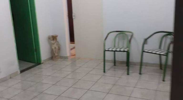 Vacation home | Dogs allowed — photo 4