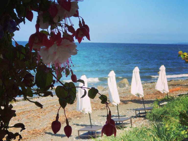 Qualicum Breeze Beach Resort — photo 4