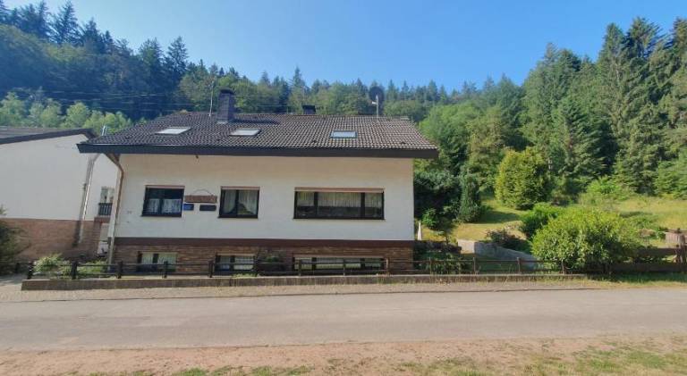 Pension Ernst im Herzen des Pfalzerwaldes mit Kuche — photo 5