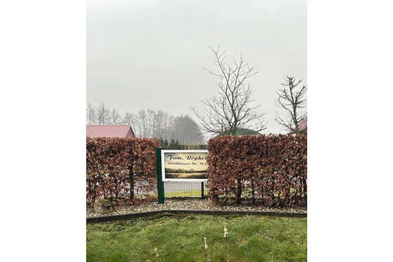foto14