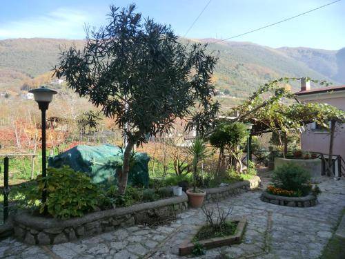 foto8