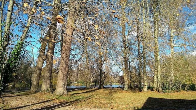 Chambre d'hôtes Jarnac