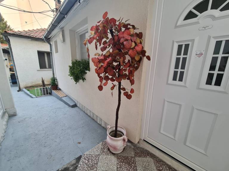 foto7