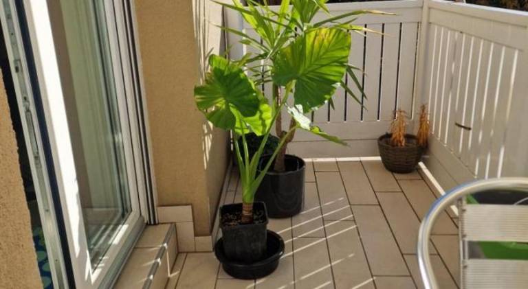 Apartment with 1 room for 3 persons — photo 4