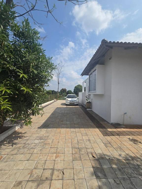 foto41