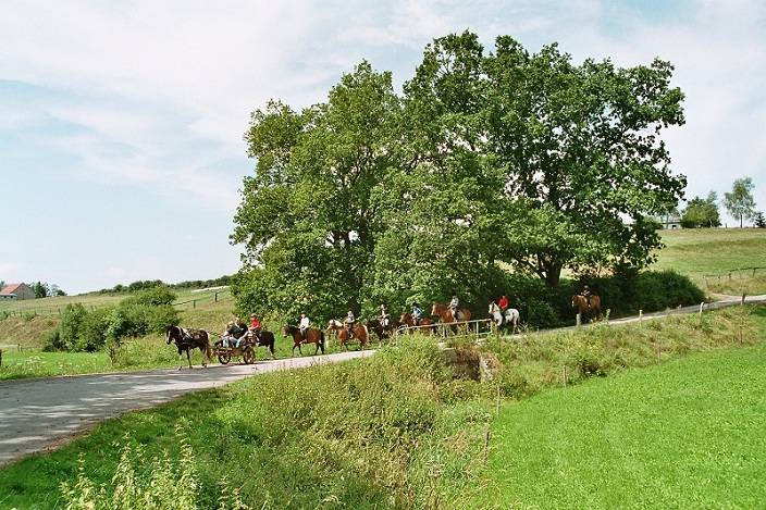 Nr 6 7 Ferienwohnung Schwalbennest