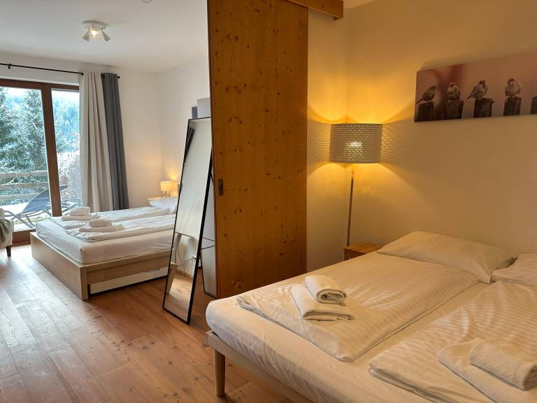 Appartement Hirsch — photo 3