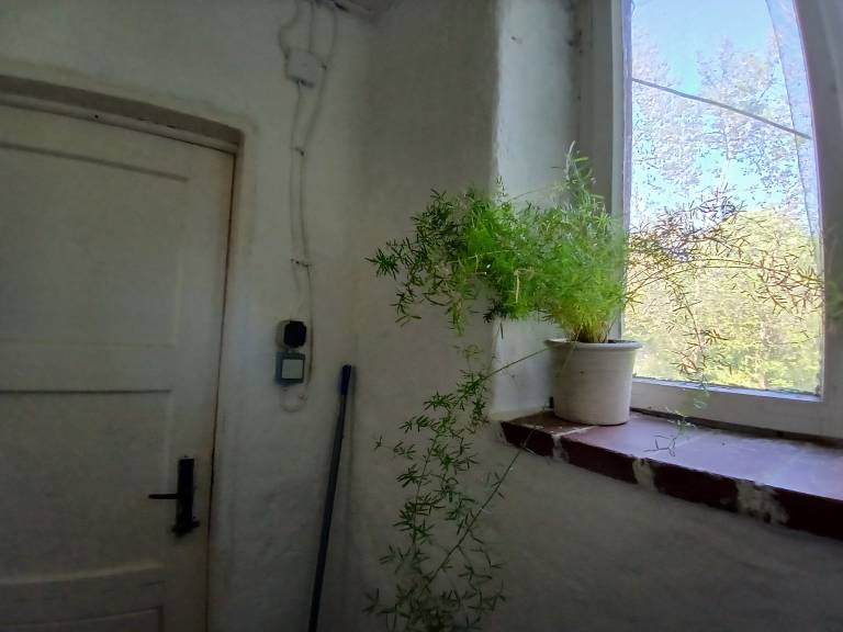 foto7