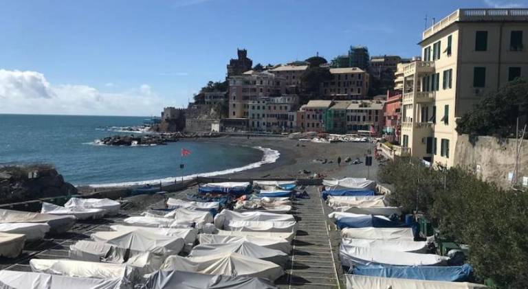 Rental apartment | Close to the beach | Pets allowed in San Vincenzo