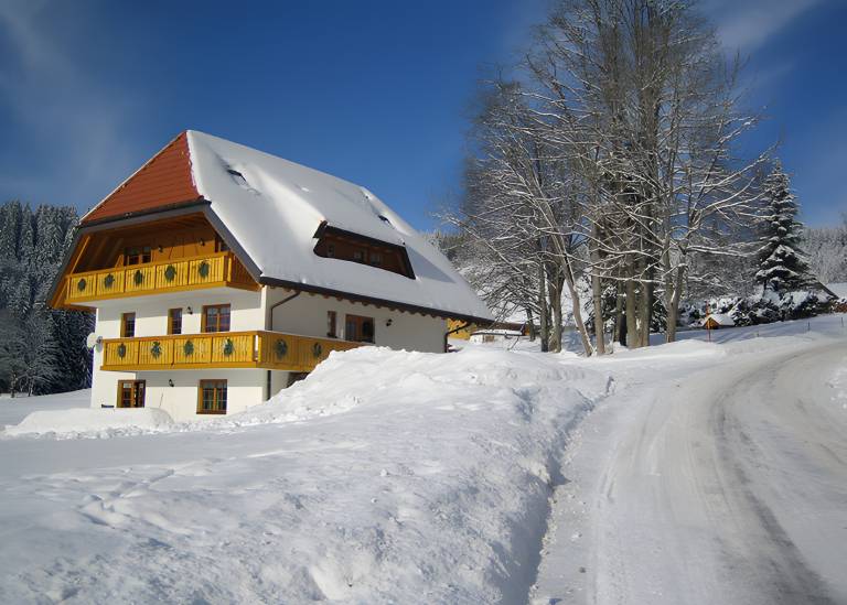 foto12
