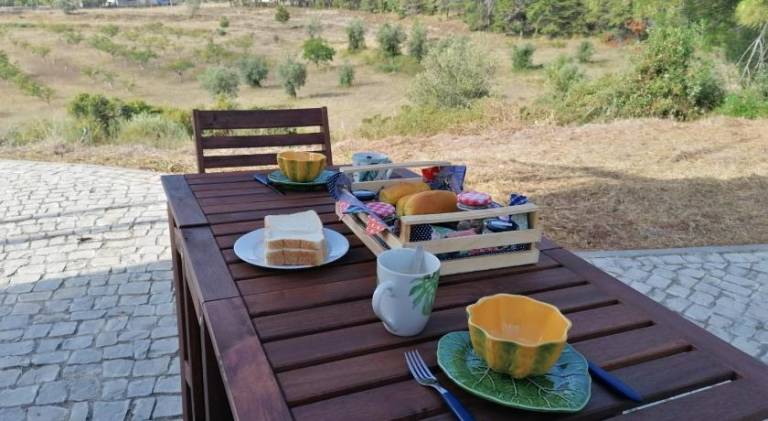 Lovely vacation home with patio & garden | Perfect for remote work | Pets are welcome — photo 4