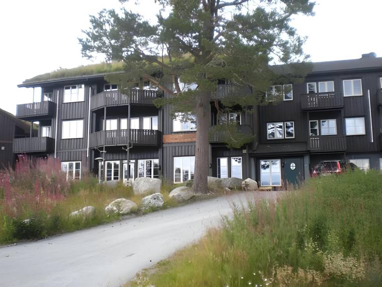 Ferielejlighed Hovden i Setesdal