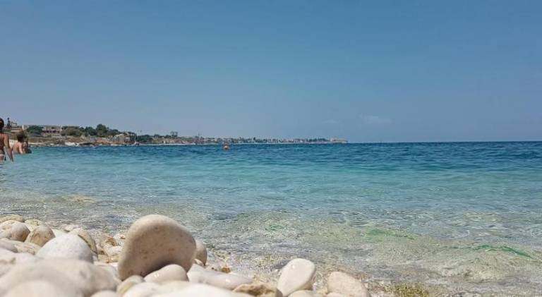 Apartment | Dogs allowed in Trani