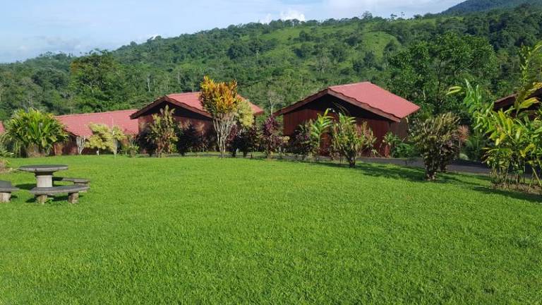 Arenal Bungalows — photo 5