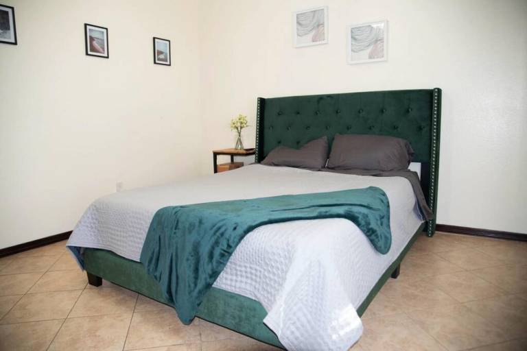 Modern 2 bed 2-bath next to University UTRGV — photo 2