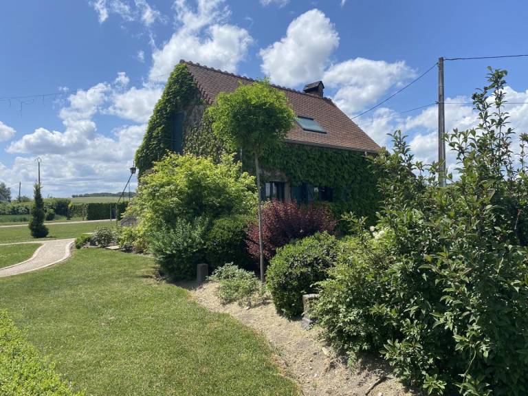 foto19