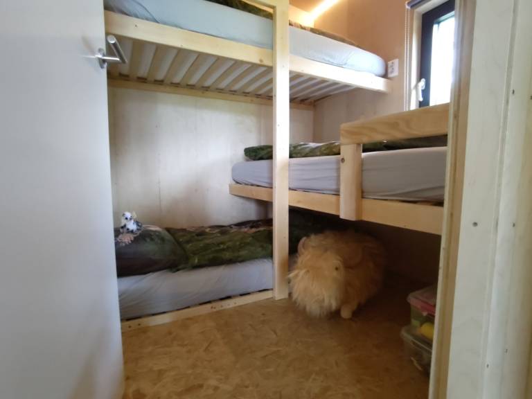 foto11