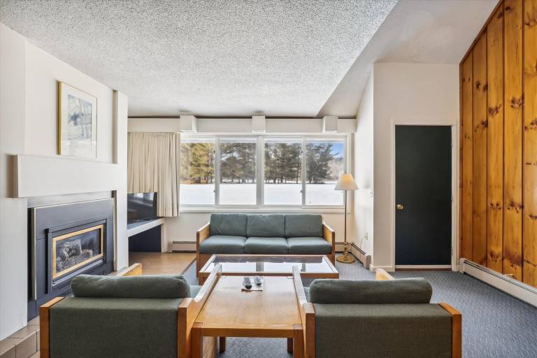 Condo Stowe