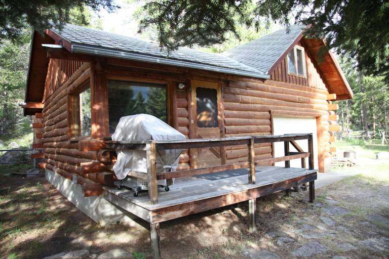 Cabin Cody