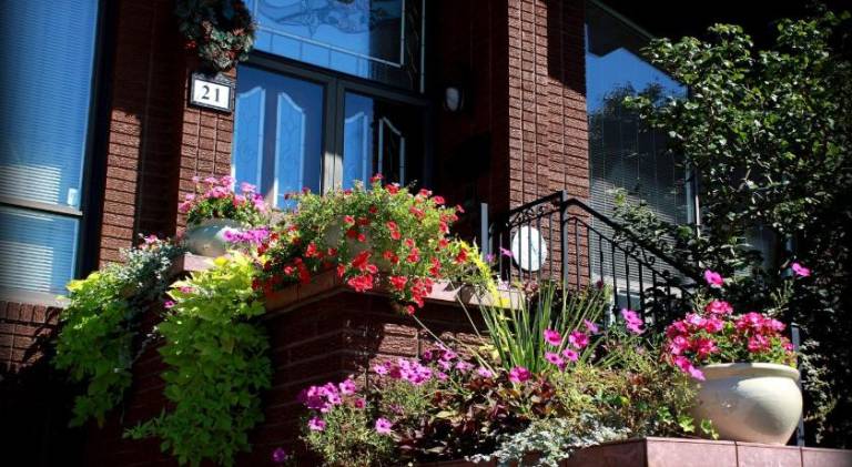 Bed & Breakfast Humber Summit