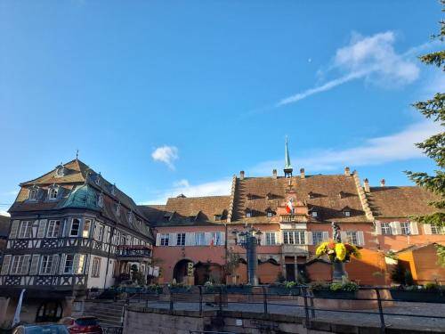 foto12
